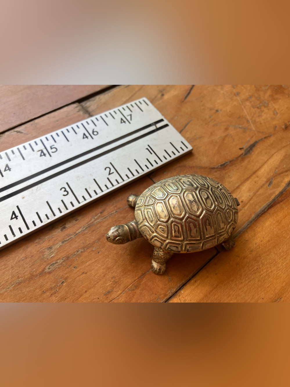 Metal turtle thing